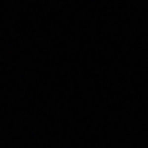 Meet your Posher, Carter